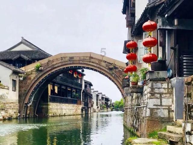 逃离仿真森林
